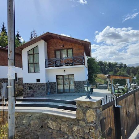 Villa In Mountains Bakuriani Zewnętrze zdjęcie