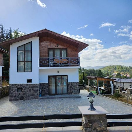 Villa In Mountains Bakuriani Zewnętrze zdjęcie
