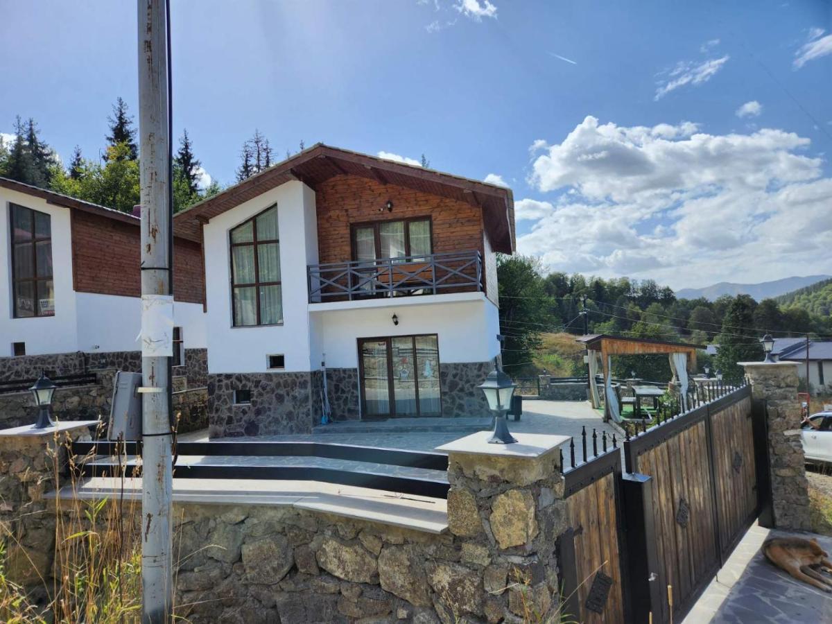 Villa In Mountains Bakuriani Zewnętrze zdjęcie