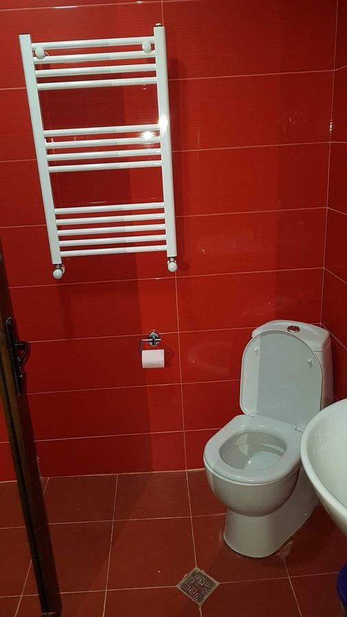 Villa In Mountains Bakuriani Zewnętrze zdjęcie