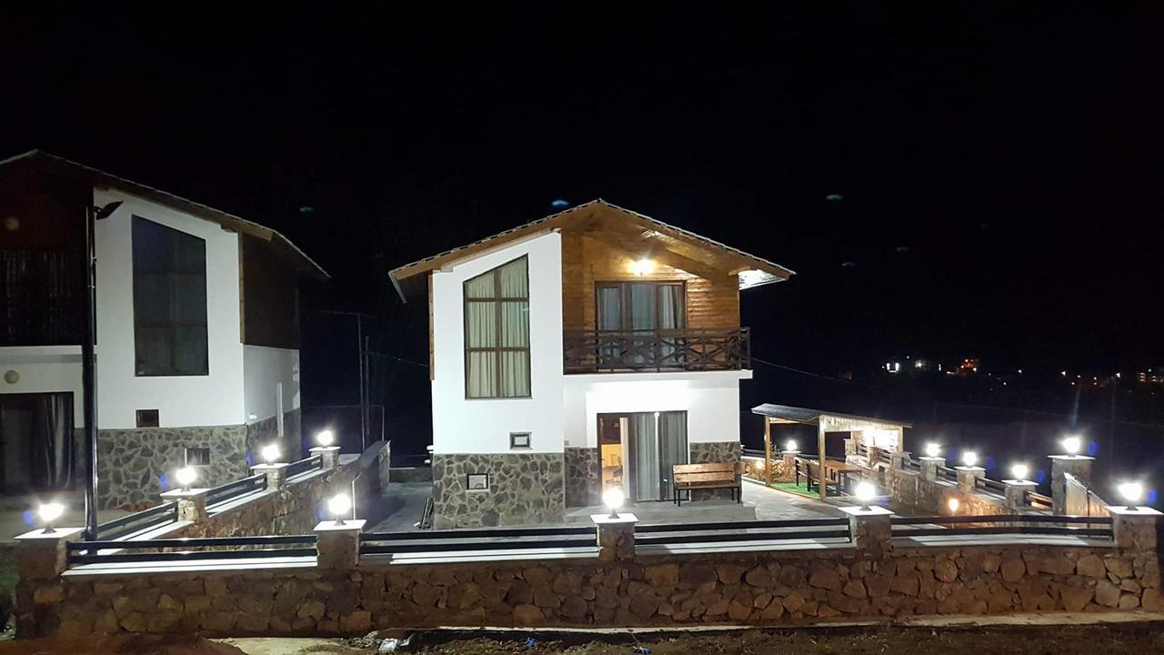 Villa In Mountains Bakuriani Zewnętrze zdjęcie
