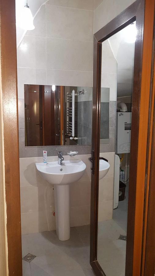 Villa In Mountains Bakuriani Zewnętrze zdjęcie