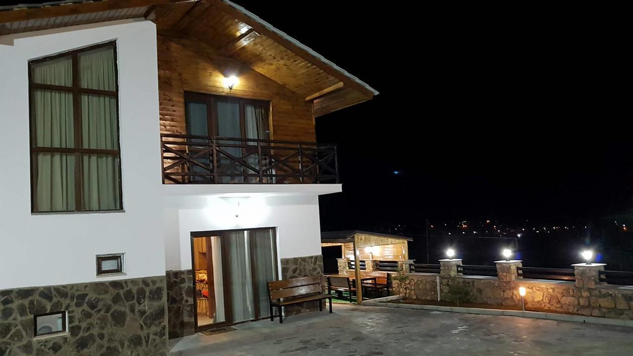Villa In Mountains Bakuriani Zewnętrze zdjęcie