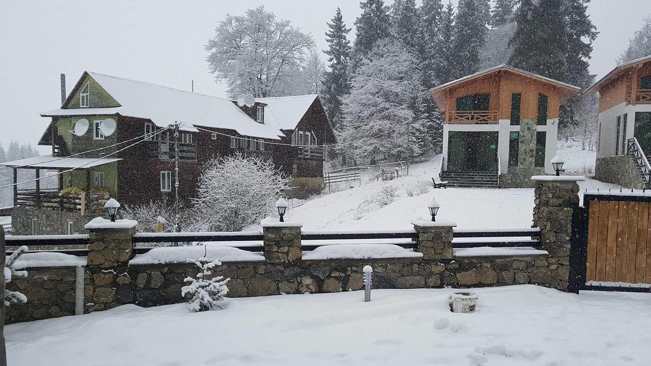 Villa In Mountains Bakuriani Zewnętrze zdjęcie