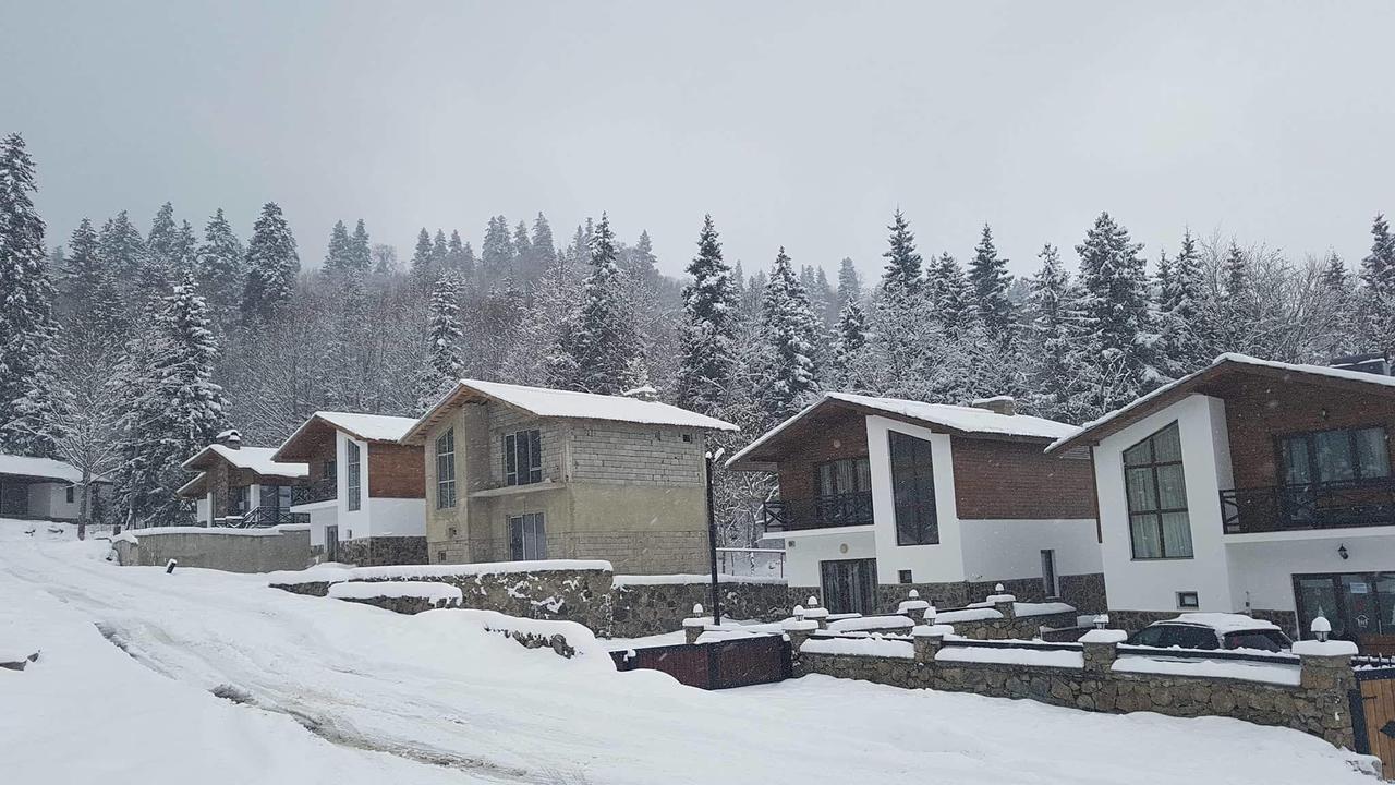 Villa In Mountains Bakuriani Zewnętrze zdjęcie