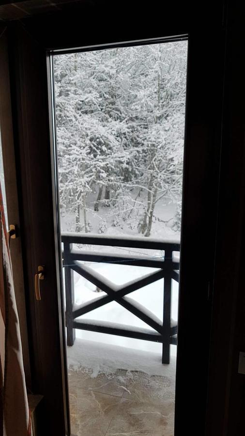 Villa In Mountains Bakuriani Zewnętrze zdjęcie