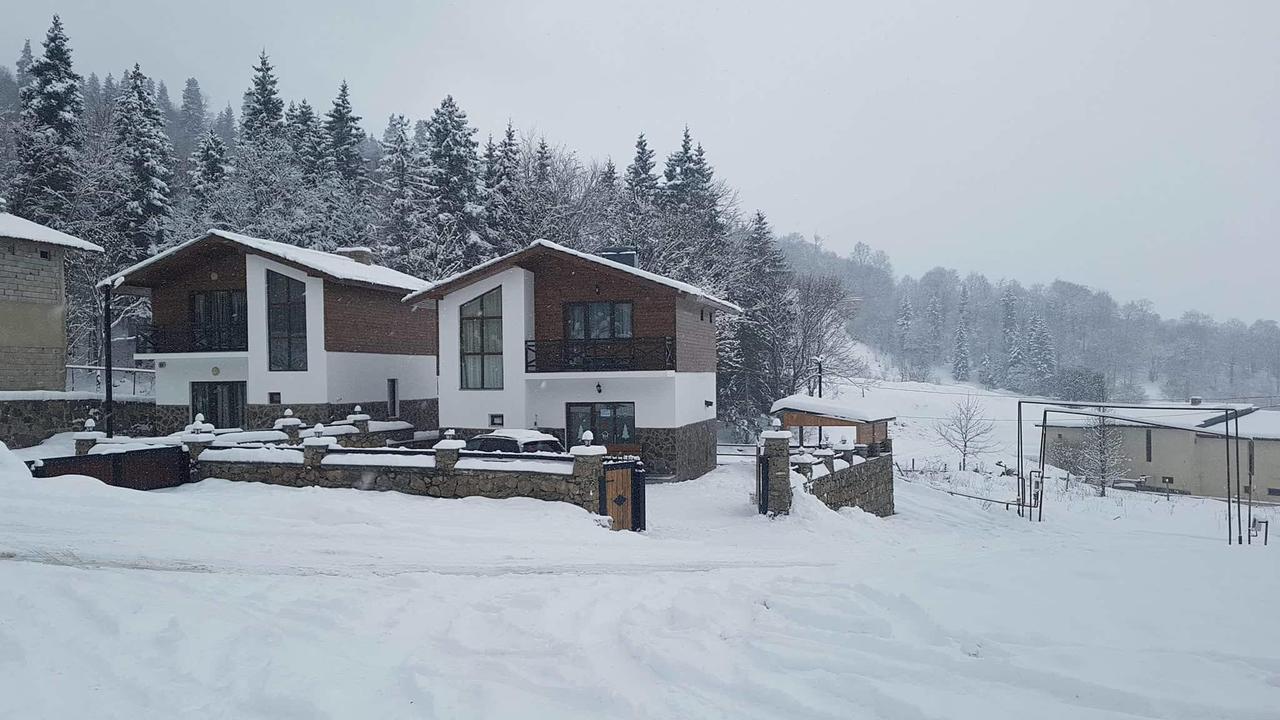 Villa In Mountains Bakuriani Zewnętrze zdjęcie