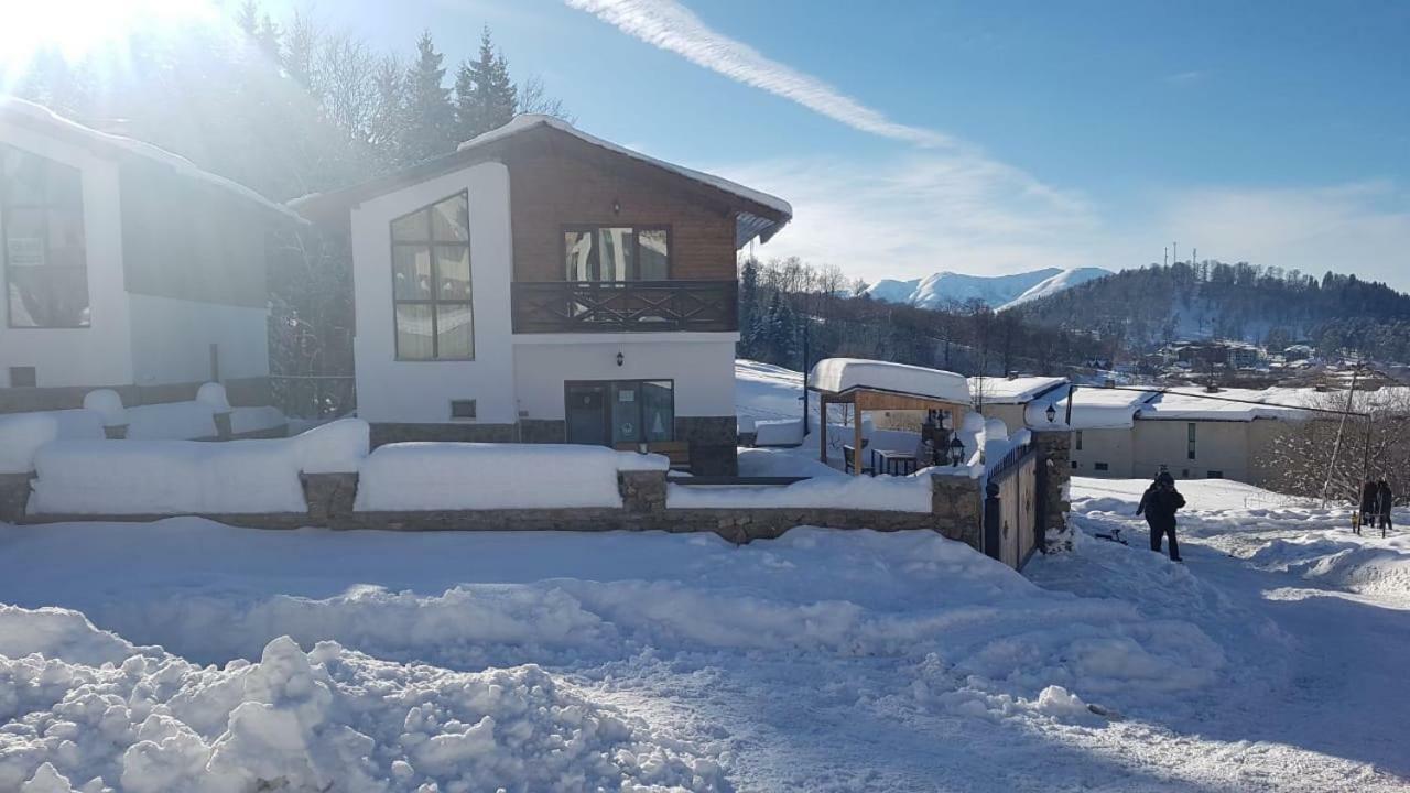 Villa In Mountains Bakuriani Zewnętrze zdjęcie